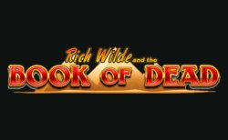 Book of Dead Slot