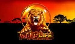 The Wild Life Slot
