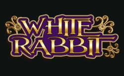 White Rabbit